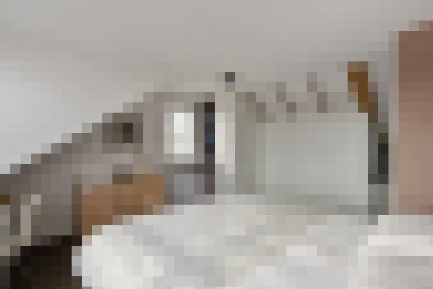 De Rekere 24 Warmenhuizen thumbnail 22