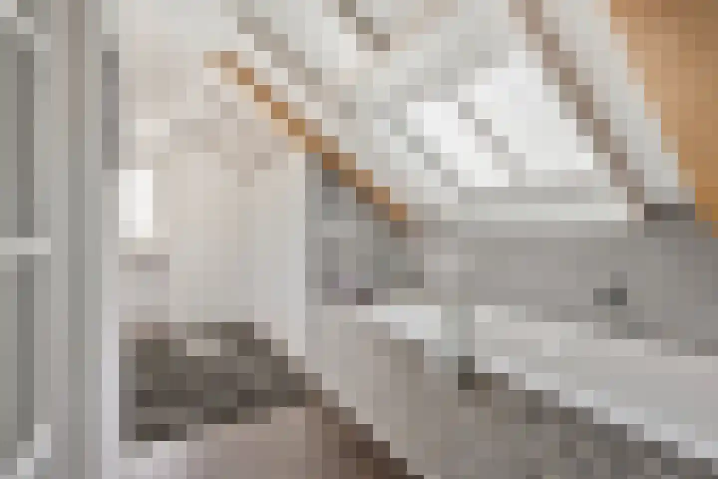 De Rekere 24 Warmenhuizen thumbnail 23