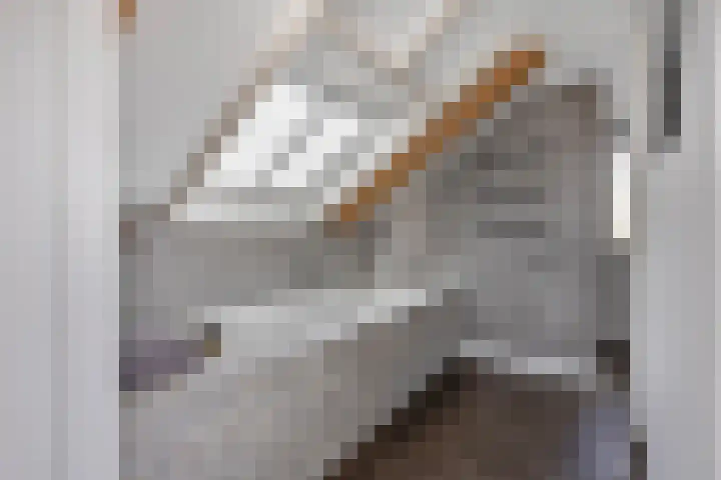 De Rekere 24 Warmenhuizen thumbnail 24