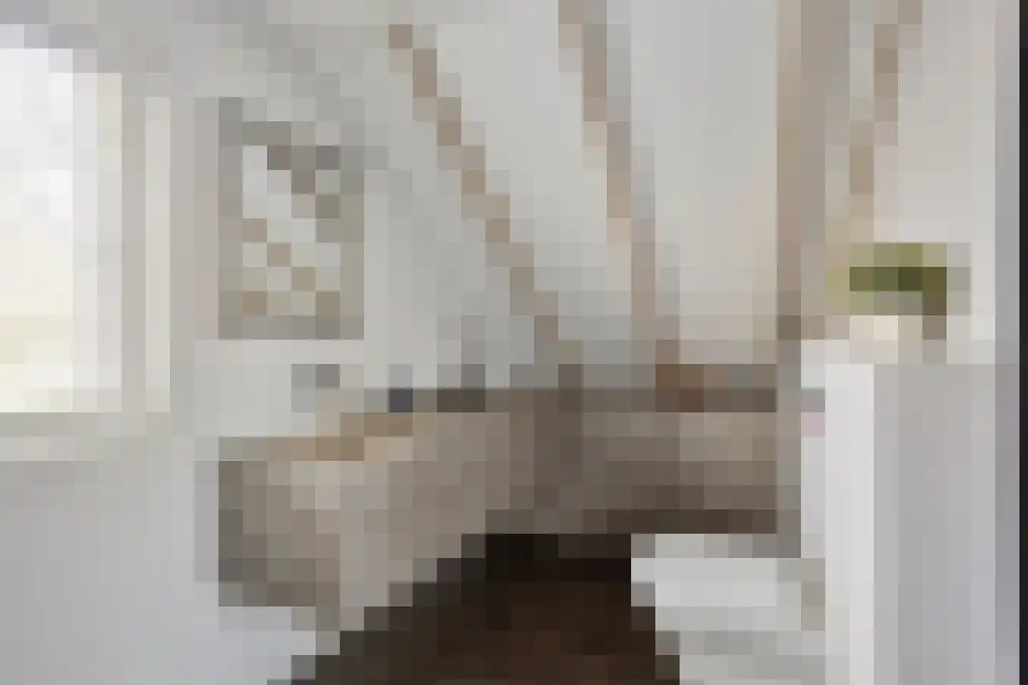 De Rekere 24 Warmenhuizen thumbnail 26