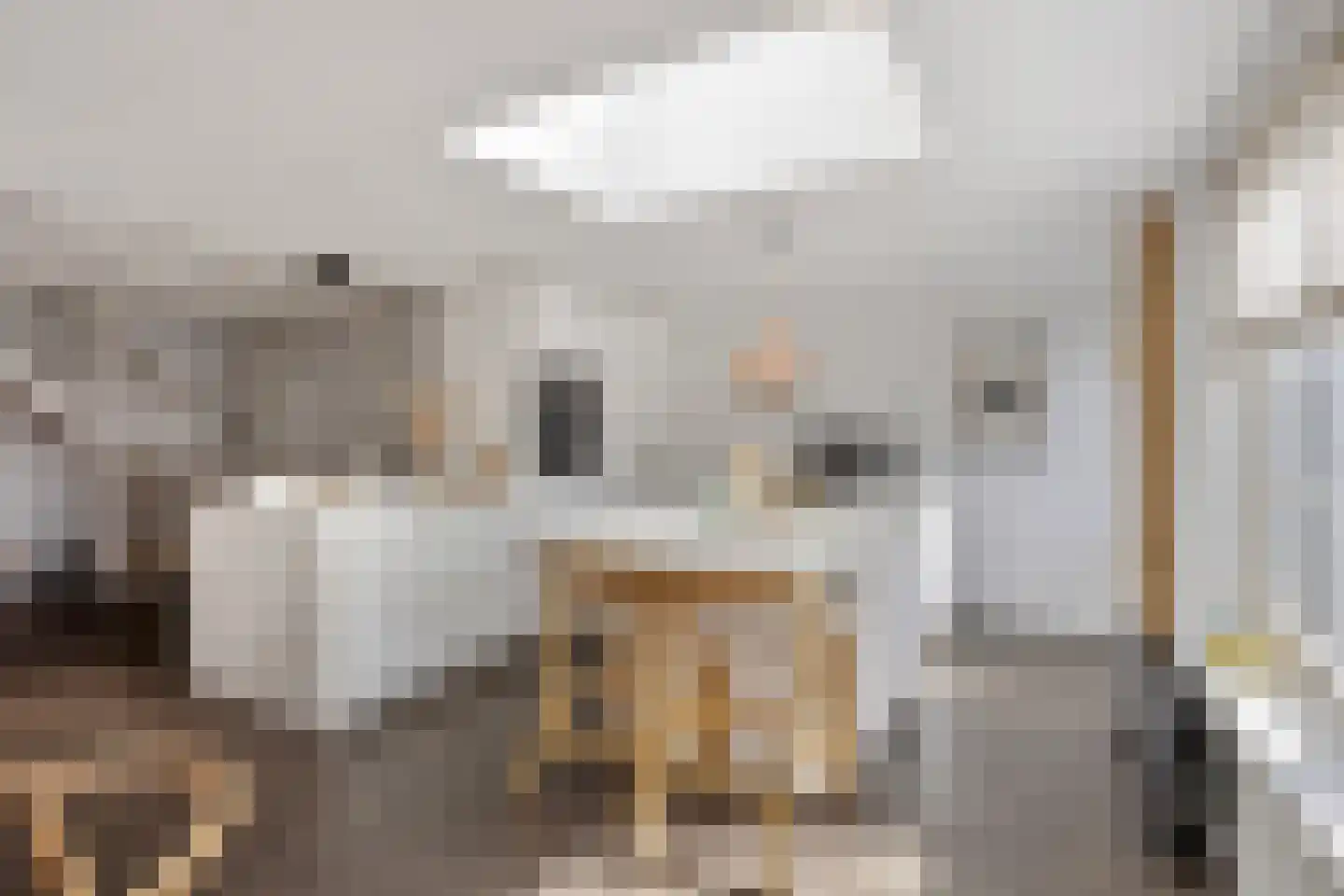 De Rekere 24 Warmenhuizen foto 3