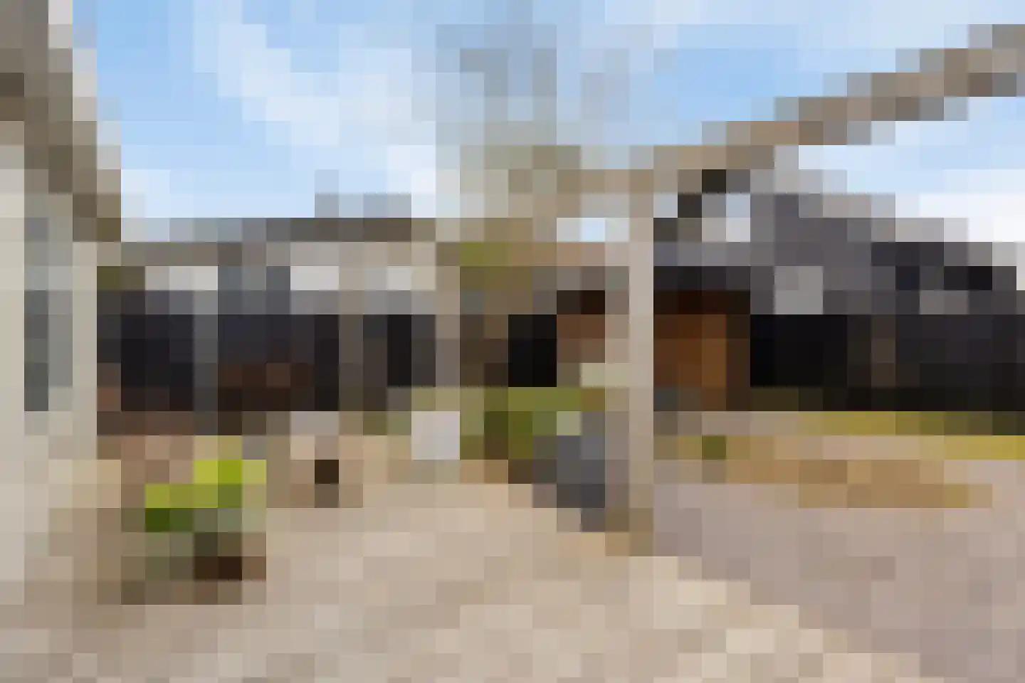 De Rekere 24 Warmenhuizen thumbnail 30