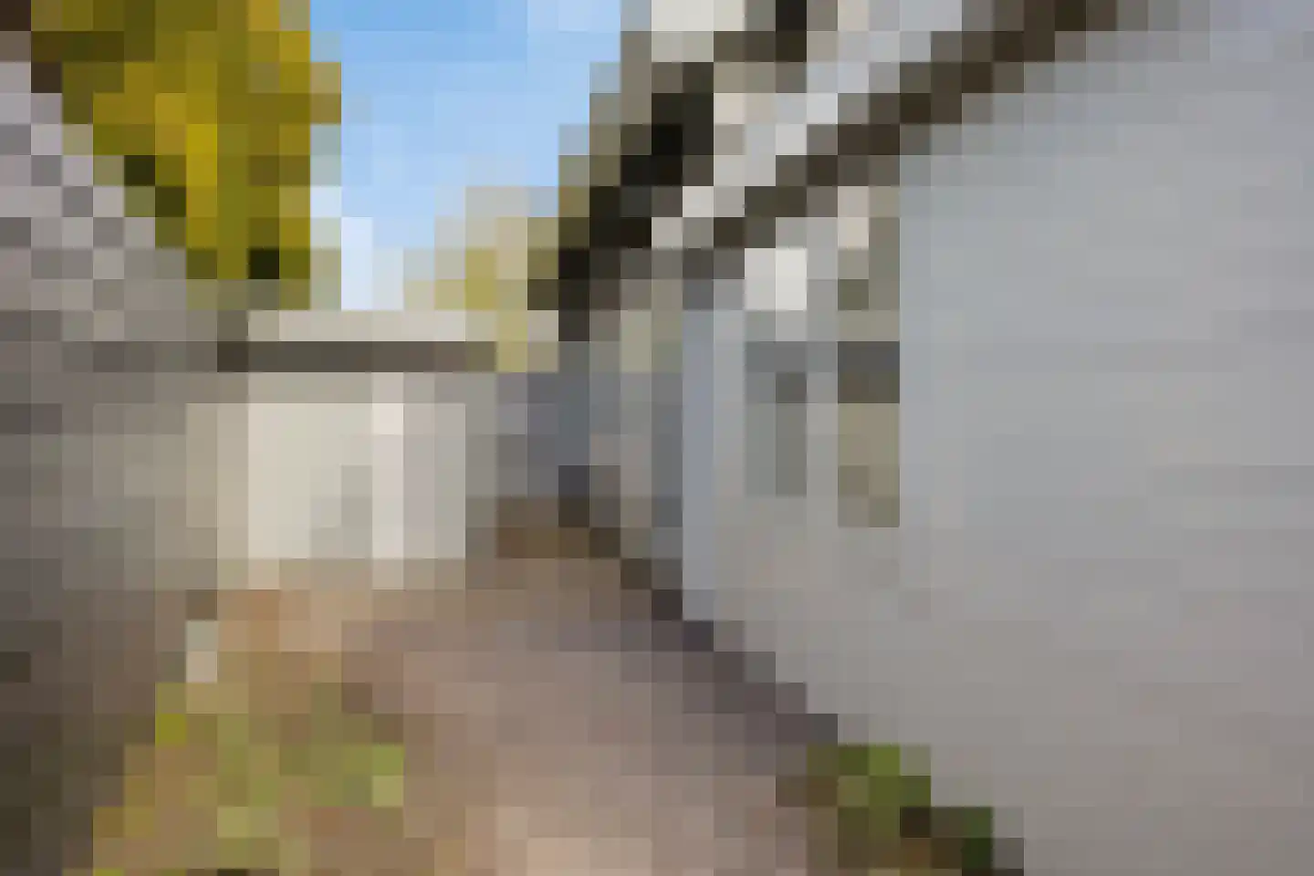 De Rekere 24 Warmenhuizen thumbnail 33