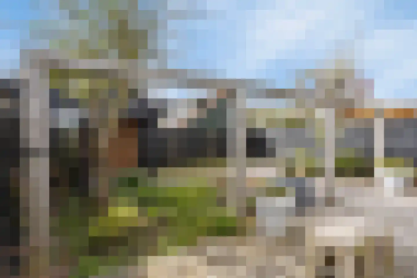 De Rekere 24 Warmenhuizen thumbnail 4