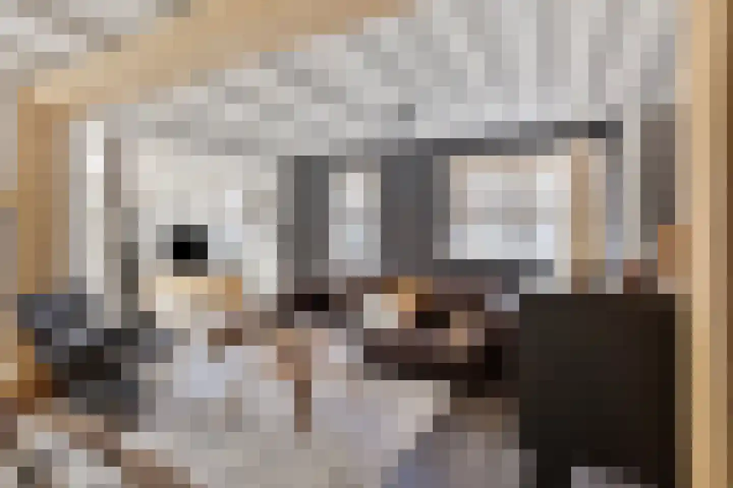 De Rekere 24 Warmenhuizen thumbnail 7