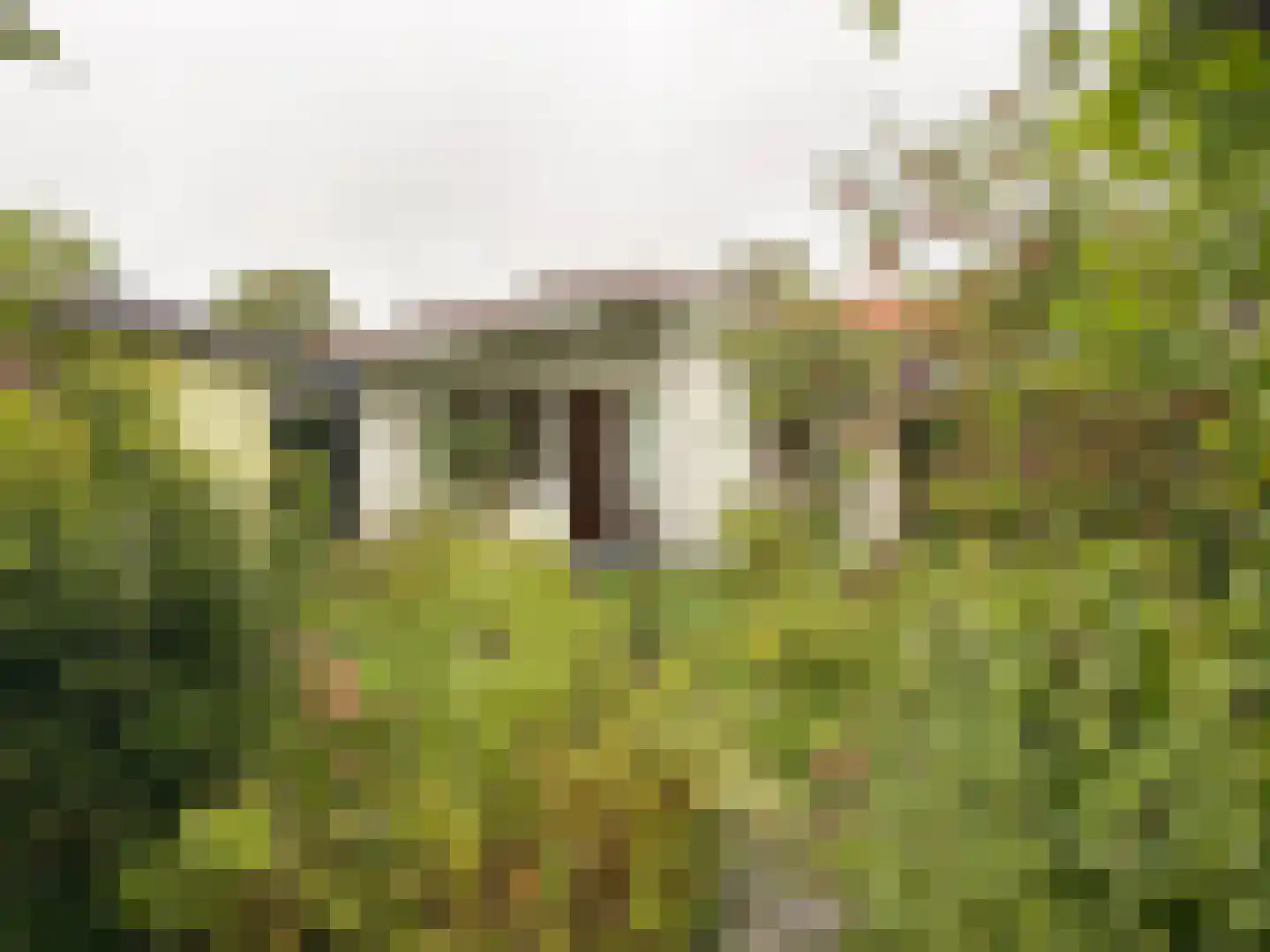 De Rekere 30 Warmenhuizen thumbnail 11