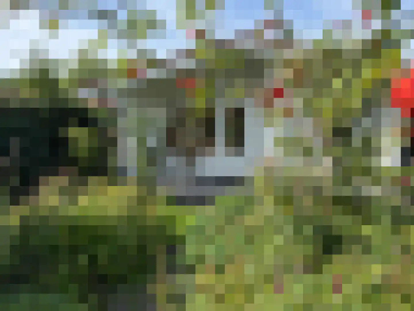 De Rekere 30 Warmenhuizen thumbnail 13