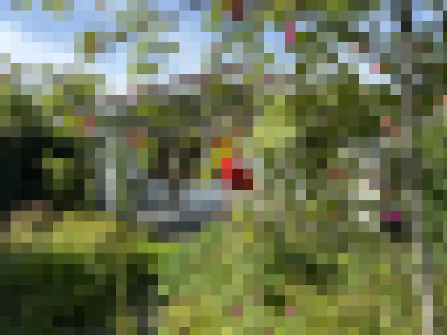 De Rekere 30 Warmenhuizen thumbnail 14