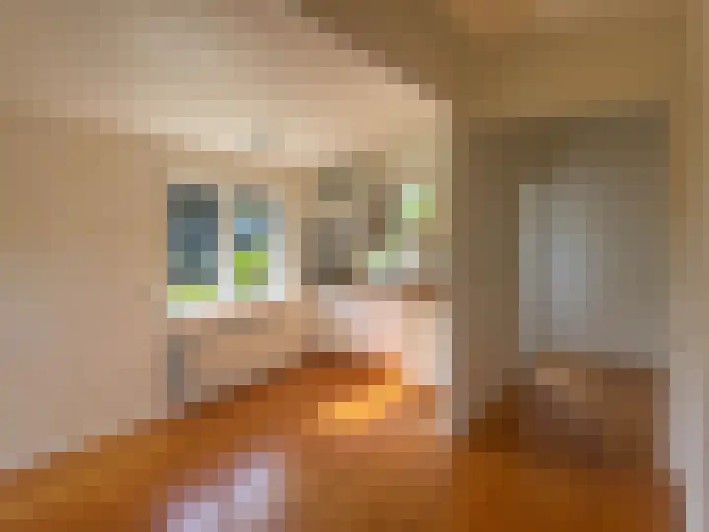 De Rekere 30 Warmenhuizen thumbnail 7
