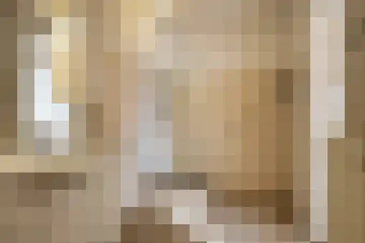 De Rekere 43 Bergen (NH) thumbnail 10
