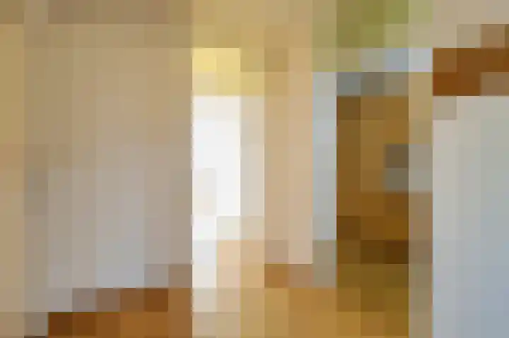 De Rekere 43 Bergen (NH) thumbnail 13