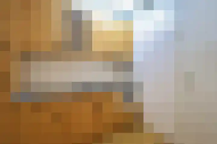 De Rekere 43 Bergen (NH) thumbnail 14