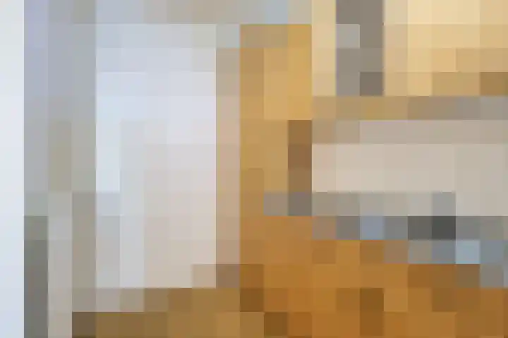 De Rekere 43 Bergen (NH) thumbnail 15