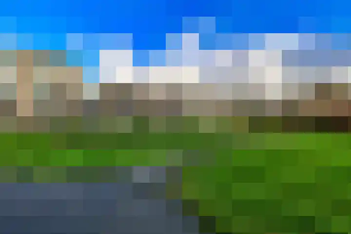 De Rekere 43 Bergen (NH) thumbnail 16