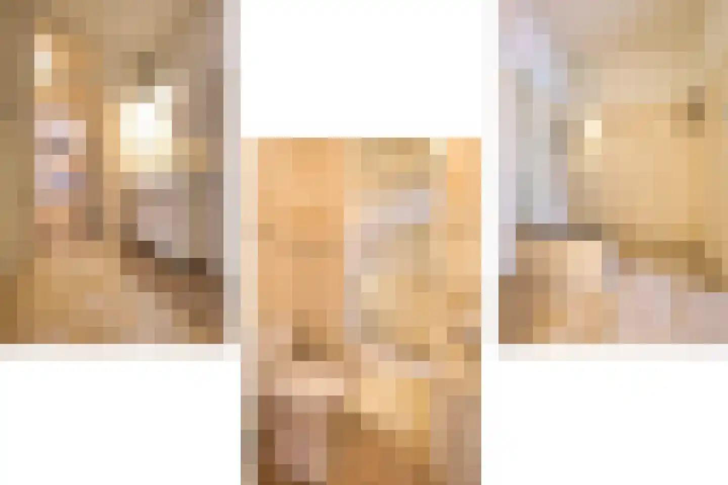 De Rekere 43 Bergen (NH) thumbnail 18