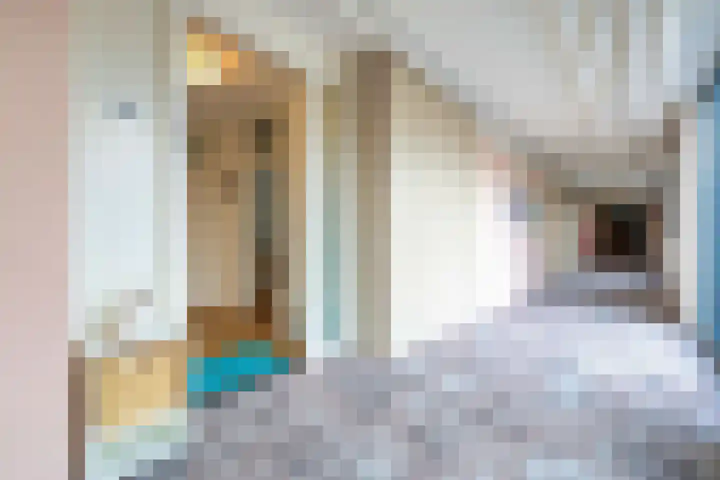 De Rekere 43 Bergen (NH) thumbnail 20
