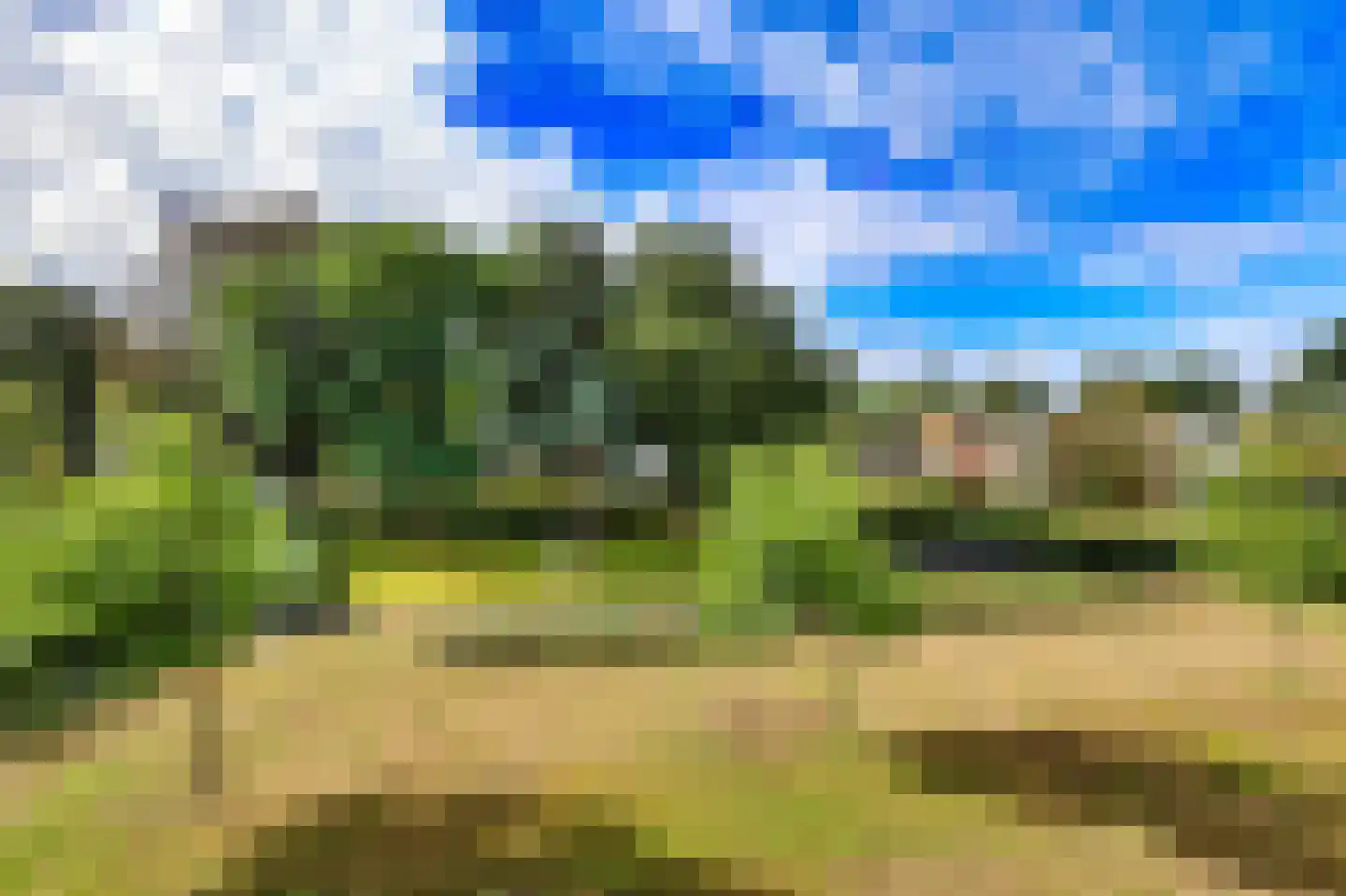 De Rekere 43 Bergen (NH) thumbnail 22