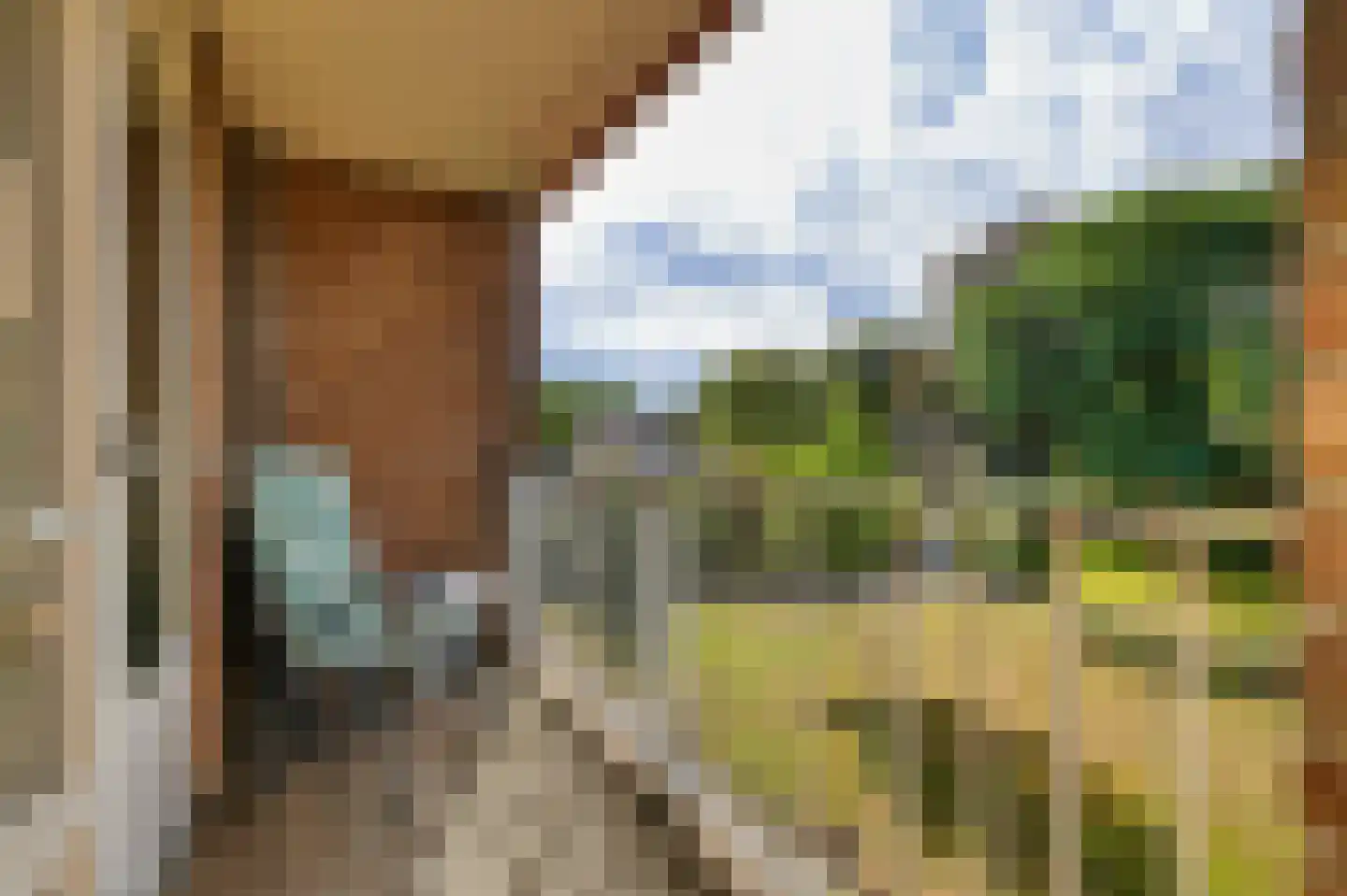 De Rekere 43 Bergen (NH) thumbnail 4