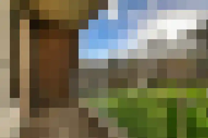 De Rekere 43 Bergen (NH) thumbnail 5