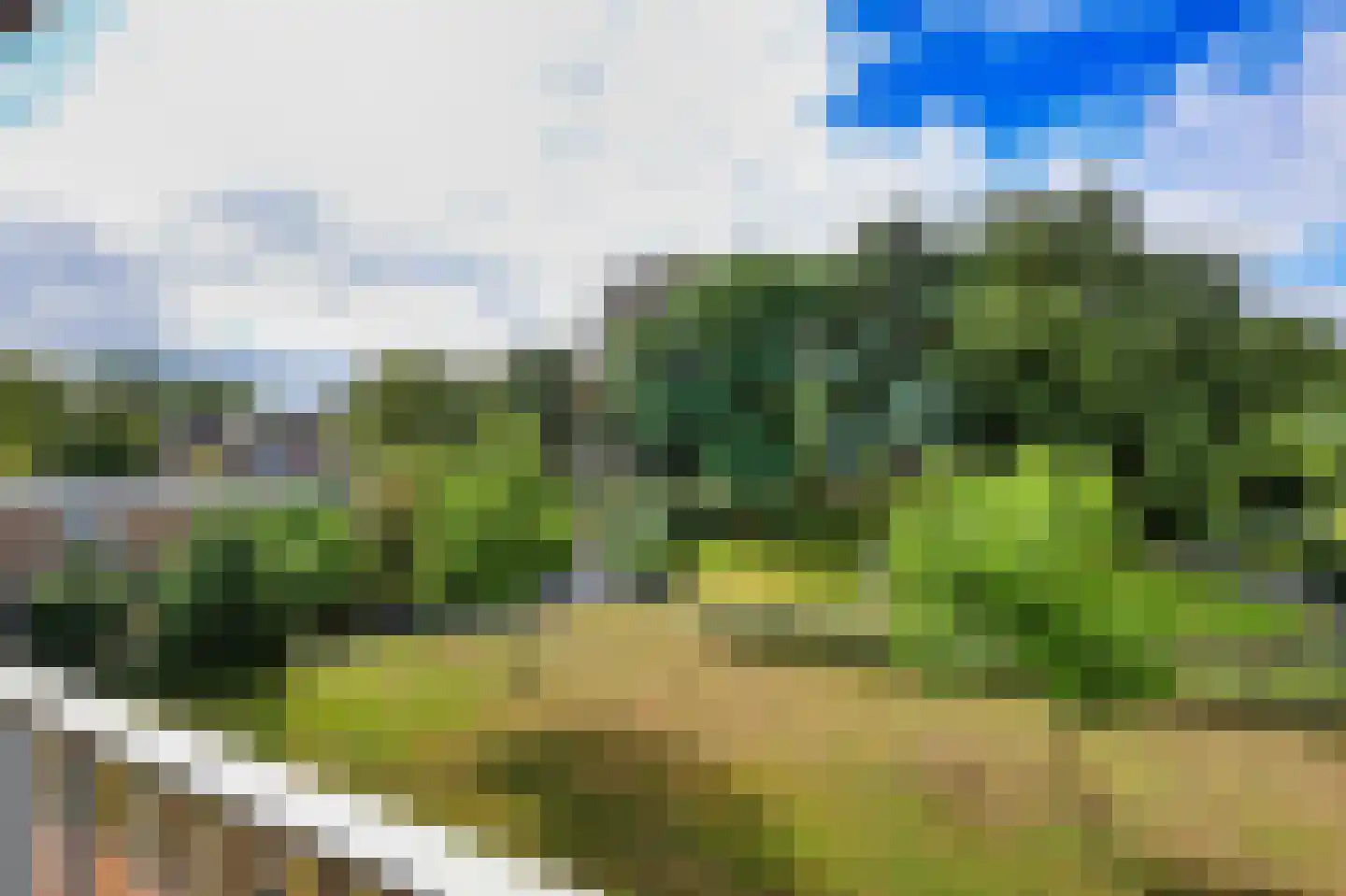 De Rekere 43 Bergen (NH) thumbnail 5