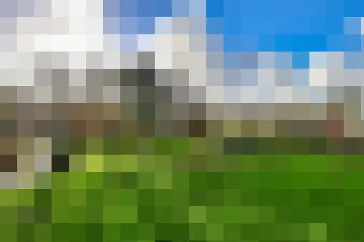 De Rekere 43 Bergen (NH) thumbnail 6