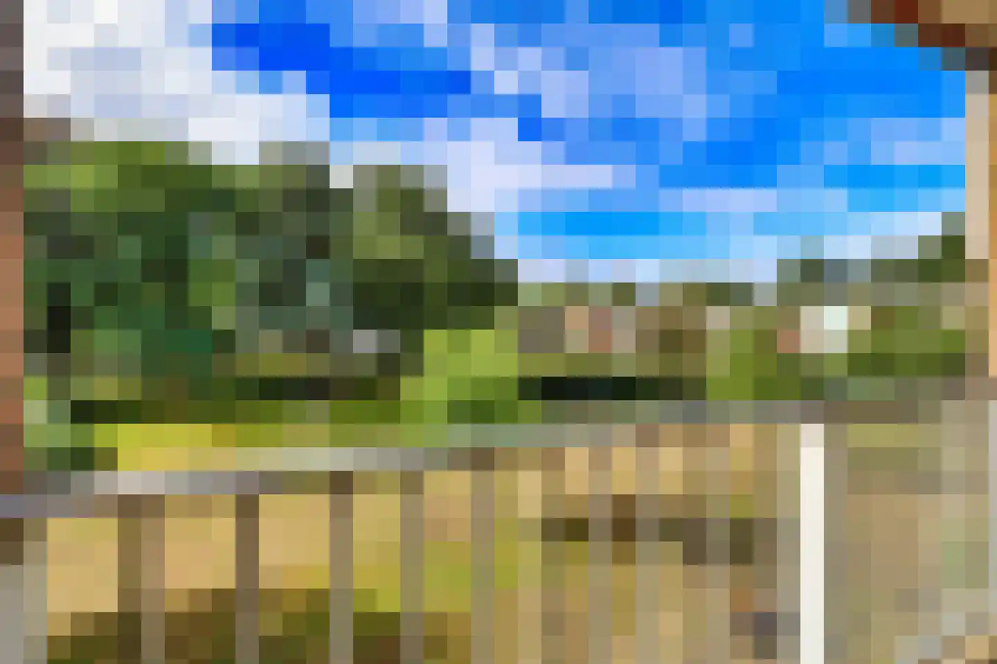 De Rekere 43 Bergen (NH) thumbnail 6