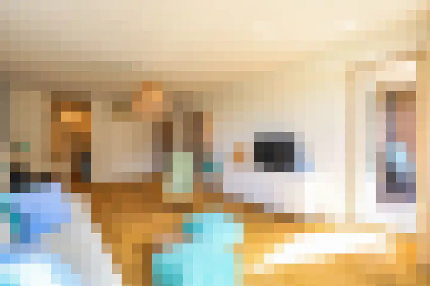 De Rekere 43 Bergen (NH) thumbnail 7