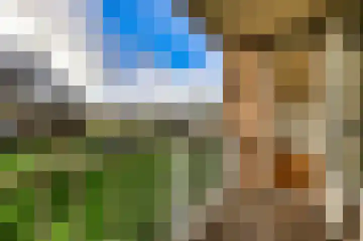 De Rekere 43 Bergen (NH) thumbnail 7