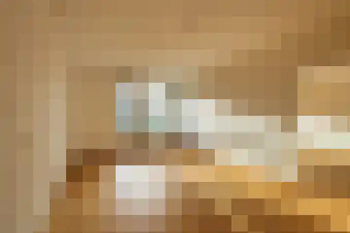 De Rekere 43 Bergen (NH) thumbnail 8