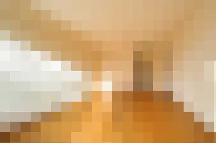 De Rekere 43 Bergen (NH) thumbnail 9
