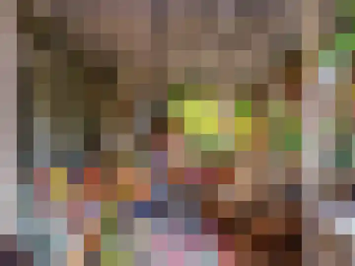 De Rekere 56 Warmenhuizen thumbnail 12