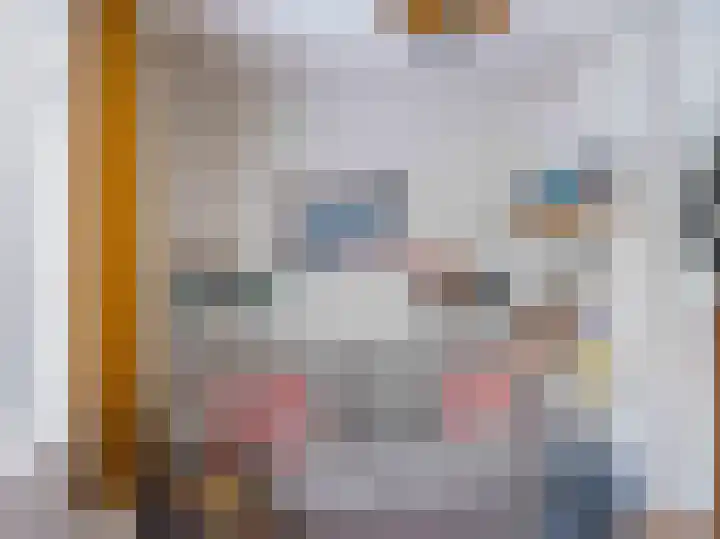De Rekere 56 Warmenhuizen thumbnail 16