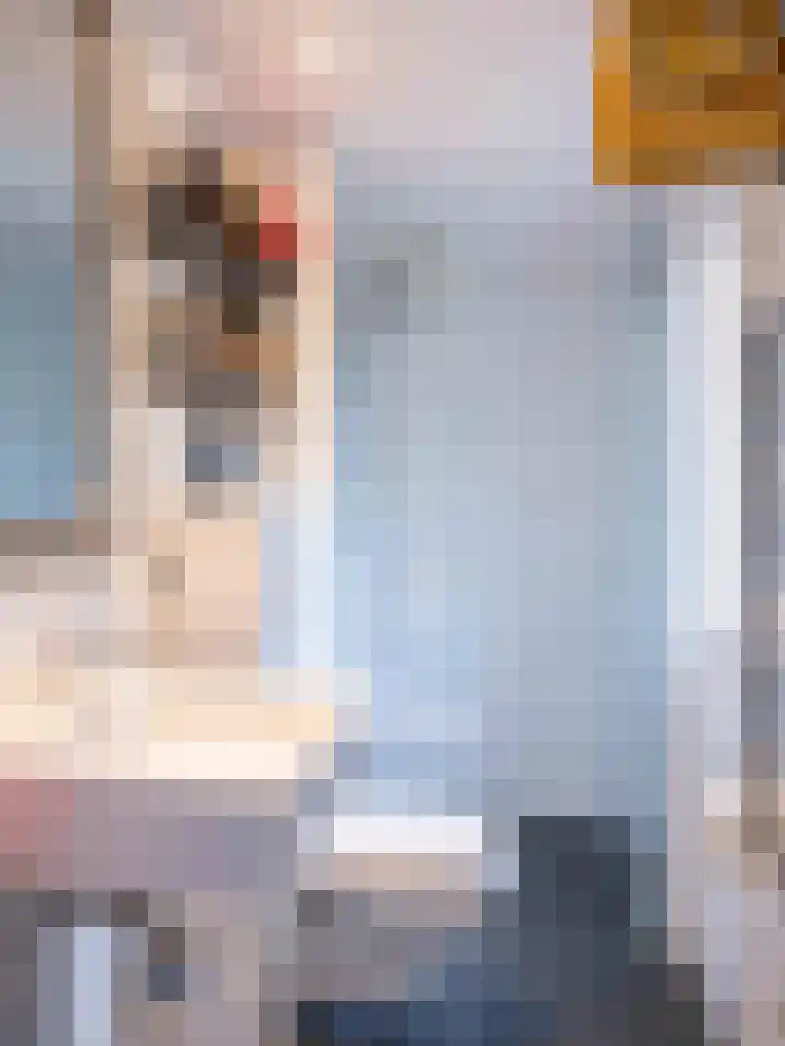 De Rekere 56 Warmenhuizen thumbnail 17