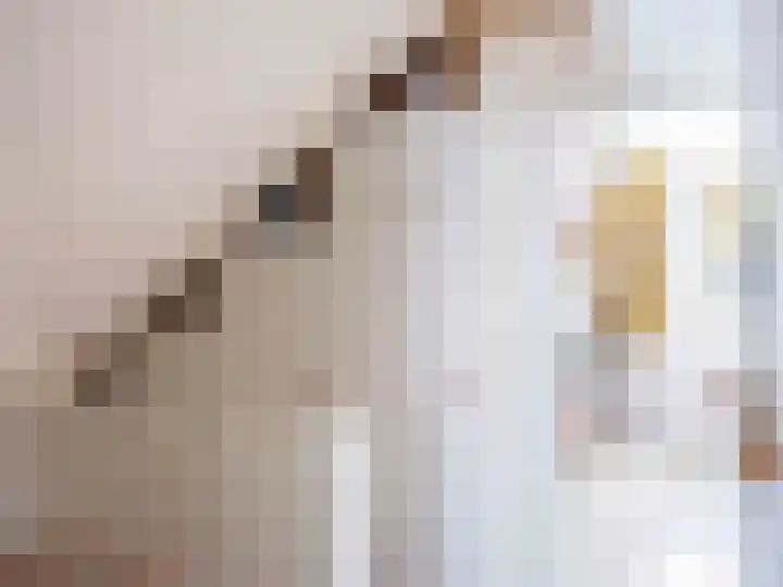 De Rekere 56 Warmenhuizen thumbnail 18