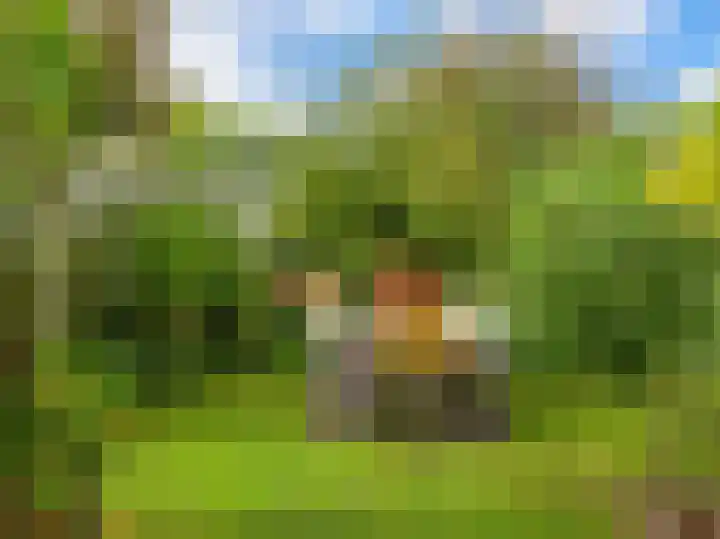 De Rekere 56 Warmenhuizen thumbnail 24