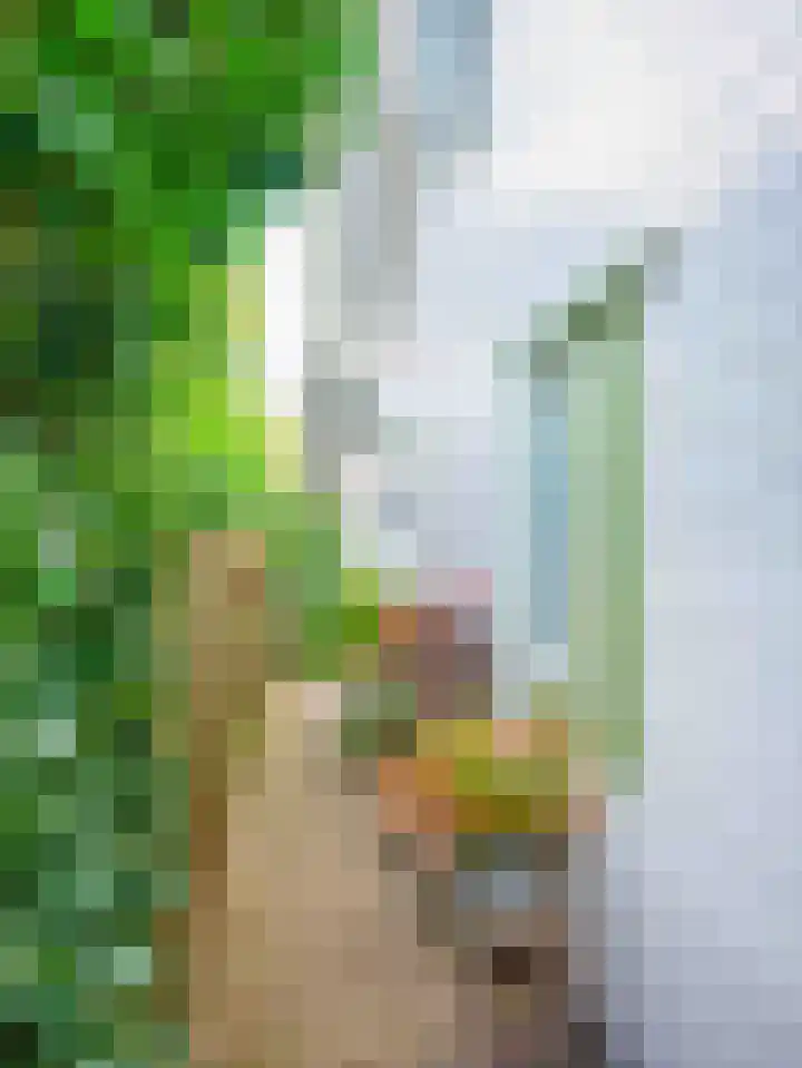 De Rekere 56 Warmenhuizen thumbnail 27