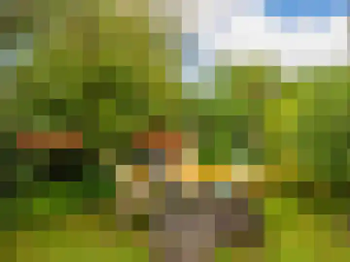 De Rekere 56 Warmenhuizen thumbnail 28