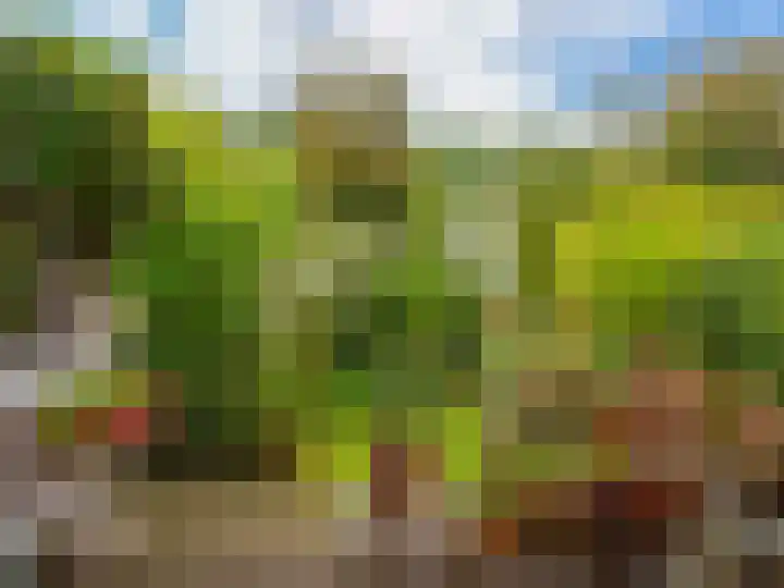 De Rekere 56 Warmenhuizen thumbnail 29