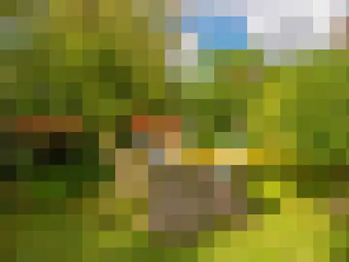 De Rekere 56 Warmenhuizen foto 3