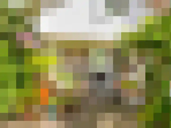 De Rekere 56 Warmenhuizen thumbnail 30