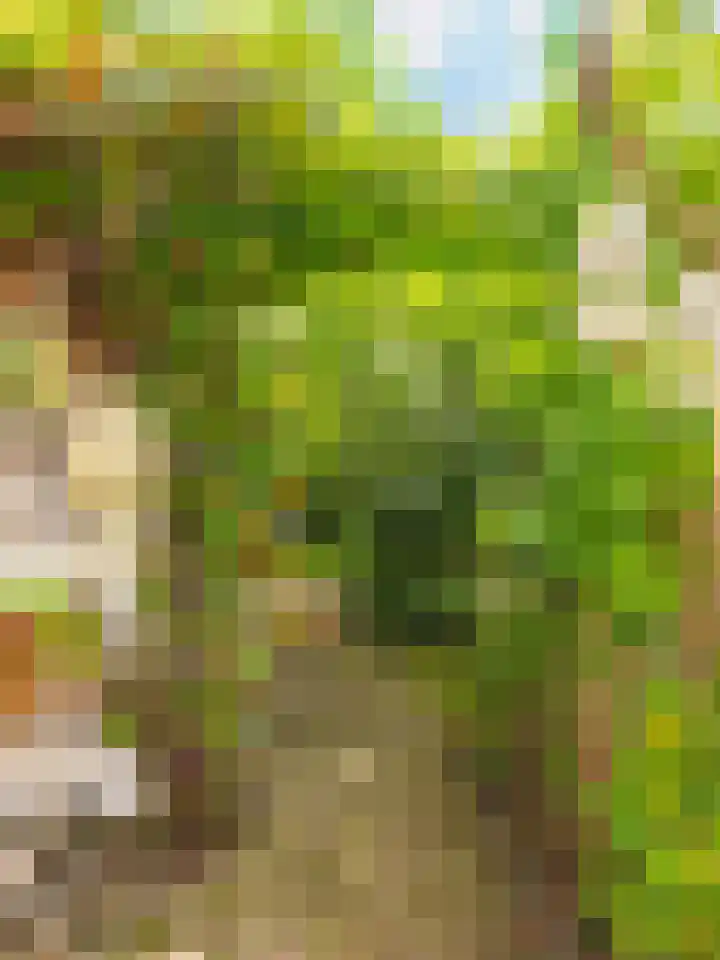 De Rekere 56 Warmenhuizen thumbnail 31