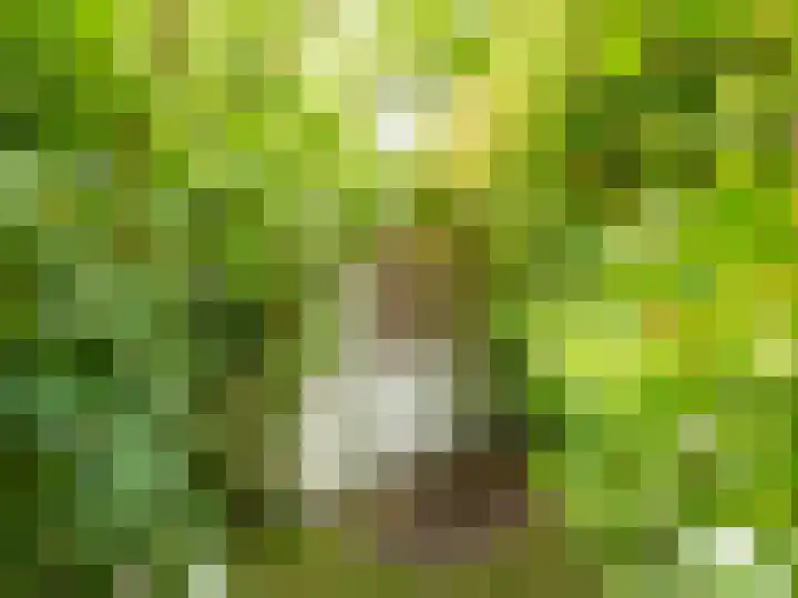 De Rekere 56 Warmenhuizen thumbnail 32