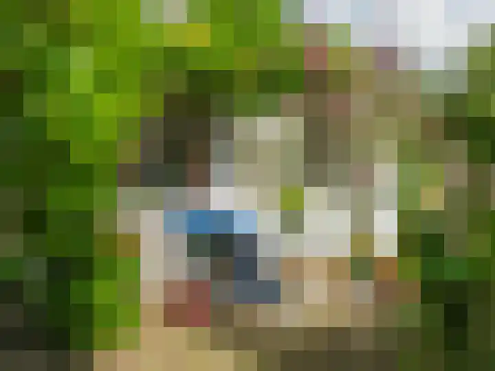 De Rekere 56 Warmenhuizen thumbnail 33