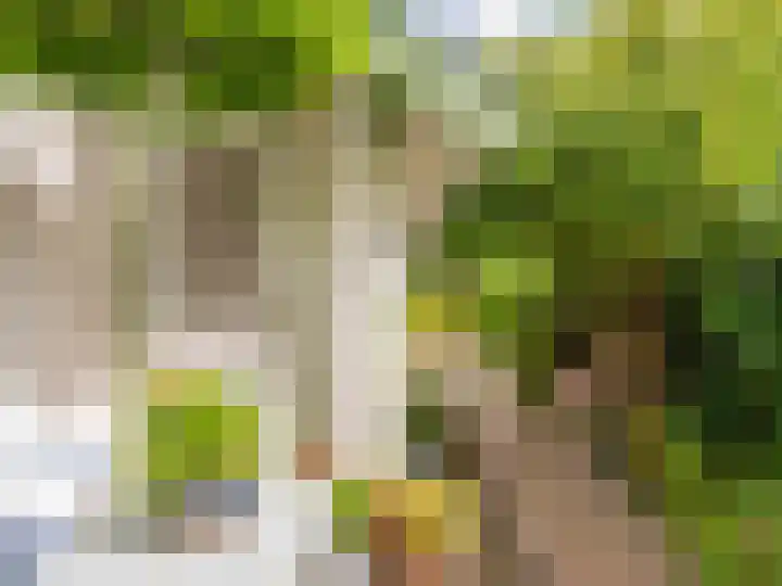 De Rekere 56 Warmenhuizen thumbnail 34