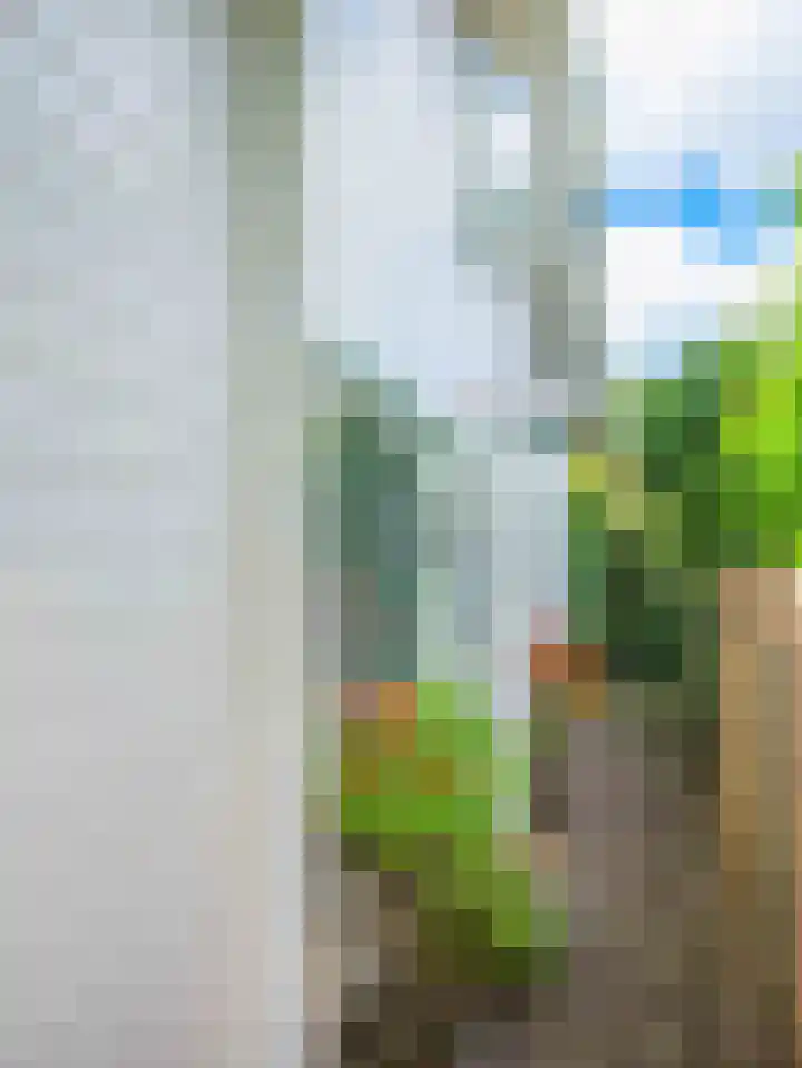 De Rekere 56 Warmenhuizen thumbnail 36