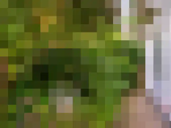 De Rekere 56 Warmenhuizen thumbnail 38
