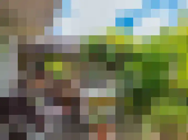 De Rekere 56 Warmenhuizen thumbnail 39