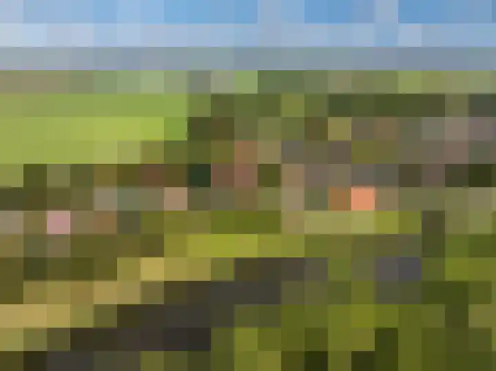 De Rekere 56 Warmenhuizen thumbnail 40
