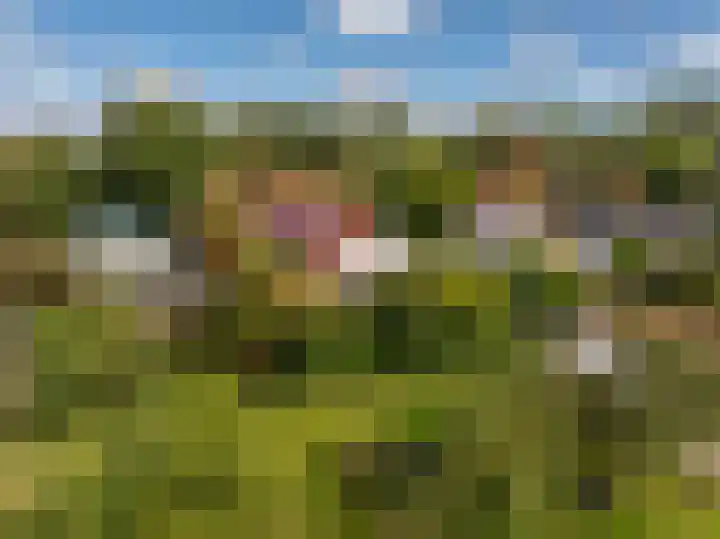 De Rekere 56 Warmenhuizen thumbnail 41