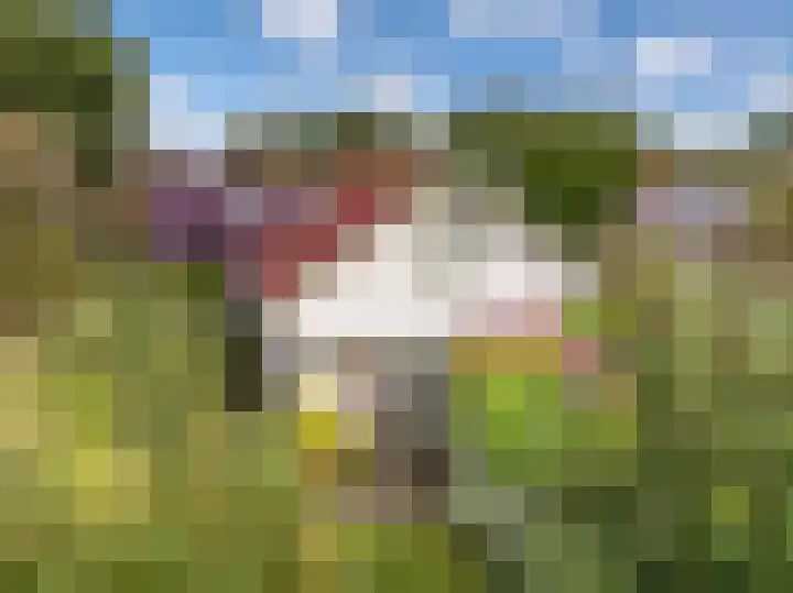 De Rekere 56 Warmenhuizen thumbnail 42